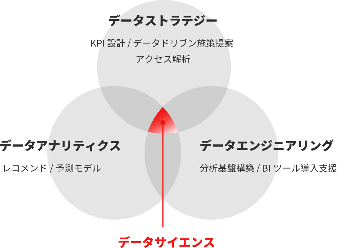データサイエンスでは、分析基盤やインフラ構築、施策検討から実装まで広くご支援いたします。